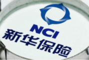 新华保险晋城中支被罚 内控管理缺失等