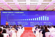 社科院张跃文：房地产市场全面崩盘这种极端事件不太可能出现