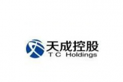 贵州长征天成控股股份有限公司关于公司股票触及其他风险警示相关事项的进展公告
