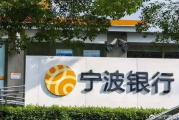 罚单频现、不良上涨，“小招行”发展动力在哪里？