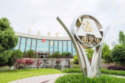 业绩增长却仍被出具非标审计报告？贵州百灵年报又出啥问题？