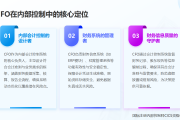 内部控制术语讲解15：首席财务官