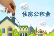 全省率先！聊城实干开路下好住房公积金内部巡察“先手棋”