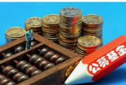 无“董事会保证”：淳厚基金定期报告缘何违规出炉？