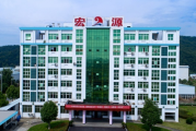 宏源药业财务内控问题频发