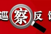 中共南充市人力资源和社会保障局党组关于市委第五巡察组巡察反馈问题集中整改进展情况的通报