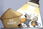 粮食大事：重拳惩治涉粮腐败
