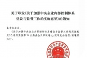 国资委2019-2025年度内控文件合集！