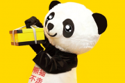 创始人失联，熊猫不走“走不动了”？知情人士：内控早有问题