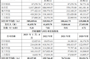 金康精工IPO:真实市场地位涉嫌夸大,业绩增长质量与稳定性不足，实际经营管理能力存疑，权力之争下控制权疑云待解、内控问题突出