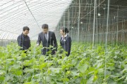 高质量发展显成效！青岛银行质效双升，做好普惠金融大文章