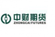 营业部负责人内控出问题，中财期货遭警示