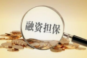 融资担保公司监督管理条例