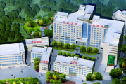 彝良县人民医院内部控制体系建设项目方案征询公告