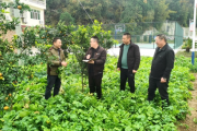 靶向监督 标本兼治 绵阳梓潼守护群众“养老钱”