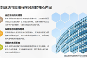 内部控制术语讲解12：业务系统 / 应用程序风险