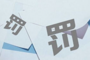 IPO处罚：通过反结账调整以往年度会计差错，财务内控不规范！