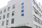 武汉蓝电北交所过会，实控人占用资金等内控不规范情形被追问