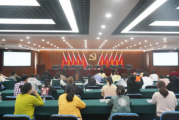 严肃财经纪律 强化内控建设 | 老港镇召开财务规范化管理业务培训