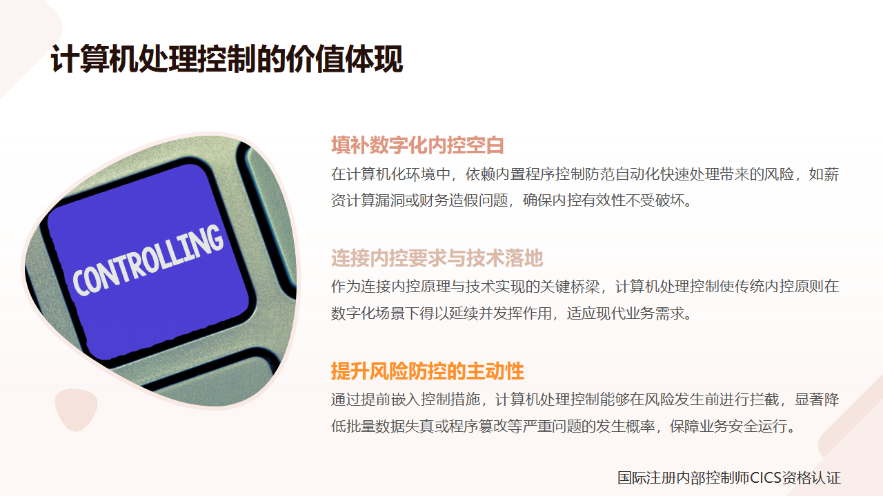 20内部控制术语讲解:计算机处理控制_04.png