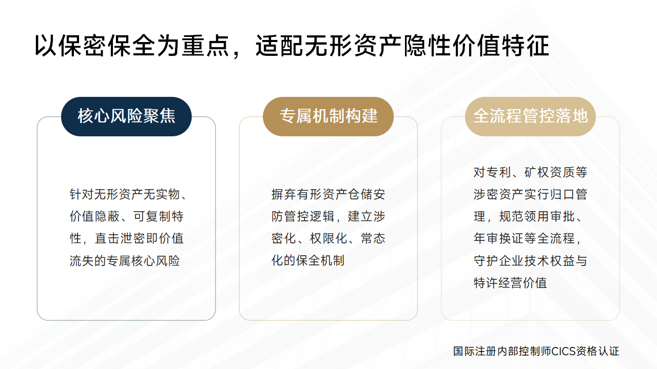 078:无形资产管理内控手册设计有哪些特点_03.png