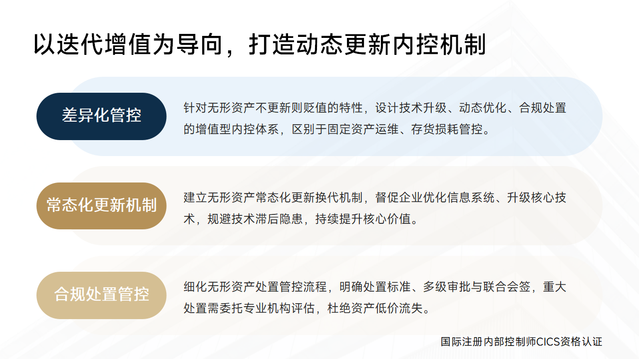 078:无形资产管理内控手册设计有哪些特点_04.png